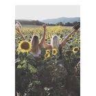 Pin Von Achim Fabry Auf Funny Things Lustige Augenblicke Lustig Sarkastisch Schlaue Spruche