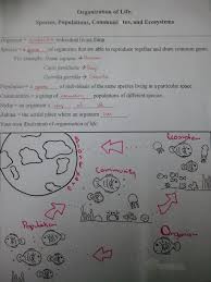 Species Populations Communities And Ecosystems Worksheet Environmental Sci