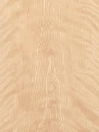 White Birch