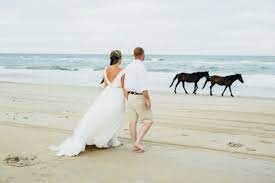 Corolla Wild Horse Weddings Outer Banks Wedding Horse Wedding Destination Wedding Photography