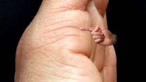 How To Read Marriage Lines In Hand Lines Palmistry Marriage Lines Palmistry Hand Line Reading