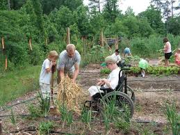 Discuss whether residents should pay an occupancy fee each month. How To Organize A Community Garden Nc State Extension Publications