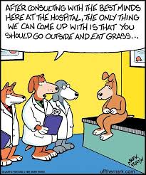 Pin By Terri Sharp On Jokes Dog Jokes Funny Dogs Cartoon Dog