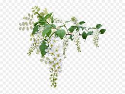 fleurs blanches png tube wedding white flowers green and white flowers png transparent png vhv fleurs blanches png tube wedding