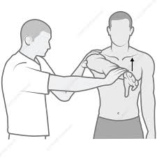 Image result for Hawkins Test