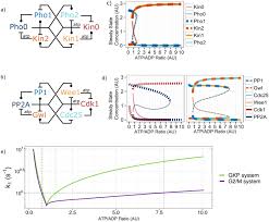 It's now possible to organize your palettes in projects or collections. Evolution Of Opposing Regulatory Interactions Underlies The Emergence Of Eukaryotic Cell Cycle Checkpoints Scientific Reports