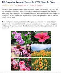 They moved from where i replanted them so they are not as. 110 Categorized Perennial Flowers That Will Bloom For Years Flowers Perennials Red Perennials Pink Perennials