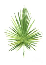 Free printable palm leaf pattern. Tropical Art Print Palm Leaf Art Tropical Leaf Print Tropical Art 8x10 Palm Leaf Art Palm