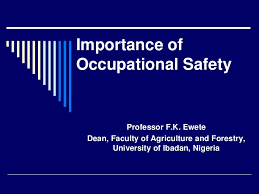 Other contributing legislation includes the workplace safety and insurance act (wsia), part ii of. Importance Of Occupational Safety
