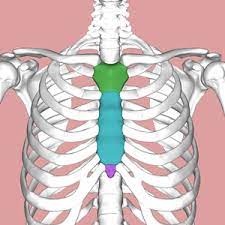 Sternal Pain Different Causes Physiopedia