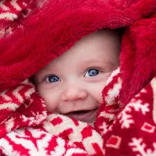 Karley Perkins Photography