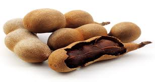 Tamarind tree a tropical tree native to madagascar, bearing round fruit 4cm diameter, that is green with white dots, and that turns brown when fully ripe. 7 Health Benefits Of Indonesia Tamarind Blog Tiga Rasa Indonesian Spices Tamarind Candlenut Green Mung Beans Supplier