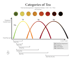 What Is Dark Tea? | Rishi Tea & Botanicals | Education