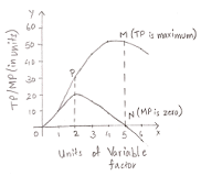 Image result for when the average product is decreasing, marginal product. course hero