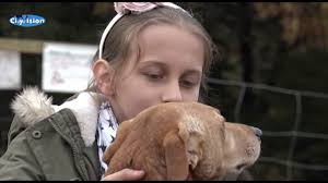 Instagram kullanıcıları bugün yoğun bir şekilde 'save a dog' paylaşımlarıyla karşılaştı. Save A Dog Germany E V Rettet In Not Save A Dog Germany E V Betterplace Org
