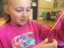 Great to have Dr Sue Galloway working with some of our keen scientists  today. Believe it or not, they have been extracting and comparing the DNA  from banana, onion and kiwi fruit.