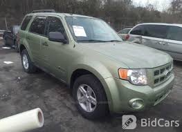 Image result for Kiwi Green 2010 Escape