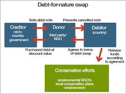 Debt For Nature Swap Diagram I 2020