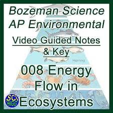 008 Energy Flow In Ecosystems Bozeman Science Ap Environmental Guide Key Energy Flow Ap Environmental Science Science