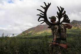 Hey rad, i tried sending you a pm but your box is full.could i you send me a pm. Caribou Hunting Gear Pure Hunting