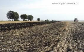 Producătorii agricoli care deţin exploataţii agricole şi care valorifică pe piaţă soia din producţia internă a acestui an pot beneficia de sprijin direct al statului pe produs în valoare de 300 lei/tonă, în care este conditia pentru a primi subventia? Subventia Pe Suprafata 41 De Articole In Agroromania Ro
