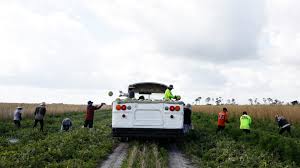 To terminate a tenancy for obviously, the contents of the letter will vary depending on the circumstances. Letters From Washington Your Employees Could Be Undocumented The New York Times