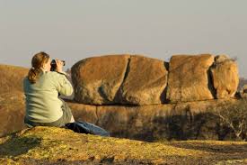 Image result for Strychnos matopensis