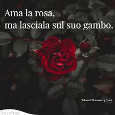 Frasi Sulle Rose Il Simbolo Dell Amore E Della Passione Trovafrasi