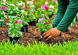 They have been a vital part in the running of my company. Fortune S Lawn Land Tree Service Marco Island Landscaping Company