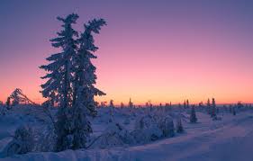 Wallpaper Winter Snow Trees Sunset Sweden Sweden Lapland Lapland Images For Desktop Section Pejzazhi Download May 07, 2008 at 08:05.