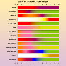 Edible Ph Indicators From Your Kitchen And Garden