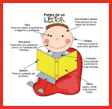 La tripa y la cubierta se diseñan siempre de forma separada mediante un proceso llamado. Dibujo Del Libro Y Sus Partes Para Ninos