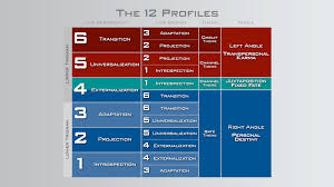 Understanding Your Innate Role Why Your Profile Is So