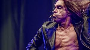 Iggy pop (born 21 april 1947; Neues Album Von Iggy Pop Frei Von Rock Klischees Archiv