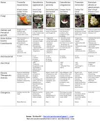 Pnw Medicinal Mushroom Chart Reishi And Roses
