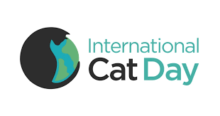 International cat day 2021 will be sunday, august 8. International Cat Care Want Happy Cats This International Cat Day International Cat Care