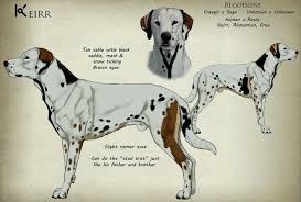 Pin By Chloeefife On Wolves Canine Art Dog Design Art Dog Drawing
