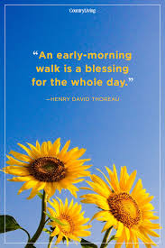 Maybe you would like to learn more about one of these? 35 Best Good Morning Quotes Good Morning Quotes For Her