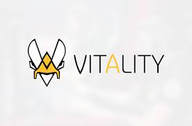 Karat 17 фев в 5:10. Team Vitality Receives 22 7m Investment From Entrepreneur Tej Kohli The Esports Observer
