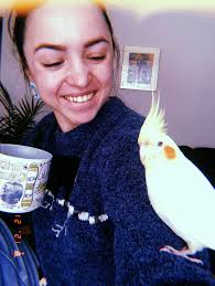 This just in: Kingston reporter reunited with feathered friend