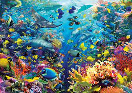We did not find results for: Extra Large Jigsaw Puzzles Giant Puzzles Not For The Faint Hearted Puzzle Art Underwater Underwater World