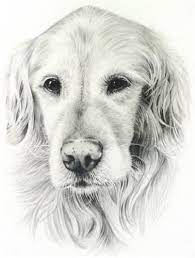 Pin On Dogs In Art