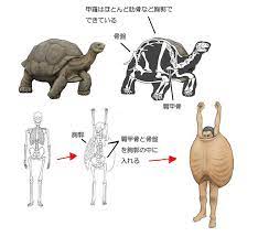 pin on biology in english