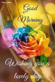 Instagram is rapidly overtaking other social networking sites as the place to post your photos of selfies, lunch, and belly button lint. 1000 Good Morning Images 2021 New Beautiful Good Morning Pictures Wallpapers Photos