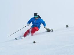 Florence Cyr, coordonatrice