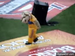Viimeisimmät twiitit käyttäjältä tigres uanl(@tigres_uanl). Mascota De Tigres On Make A Gif