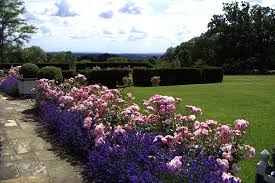 Maintenance 6 Jpg 850 568 Rose Garden Design Landscaping With Roses Lavender Garden