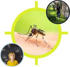 Introduced ant colonies, including fire ants that are not usually tolerant of other ant. Mosquito Control Innotech Pest Management