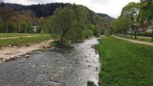 Warum ich mich damals für jura eingeschrieben habe, weiß ich zwar immer noch nicht. Mord In Freiburg Dokumentarfilm Eine Chronik Der Ereignisse Swr Fernsehen Swr De