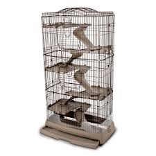Schau dir angebote von ‪chinchillas‬ auf ebay an. How Much Do Chinchillas Cost At Petco